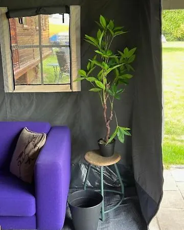 ラグジュアリーテント De Drentse Safari