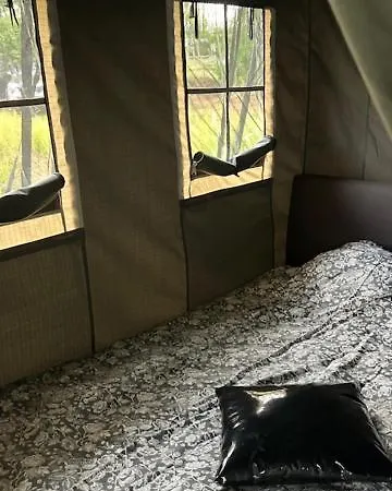 럭셔리텐트 De Drentse Safari *
