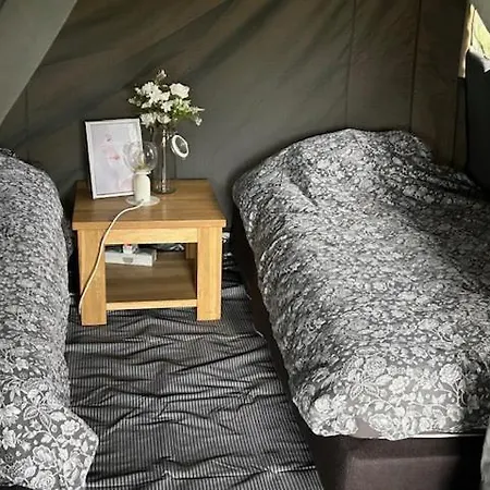 خيمة فخمة De Drentse Safari Sleen
