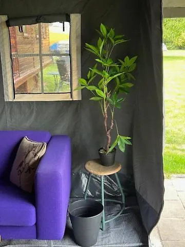 خيمة فخمة De Drentse Safari